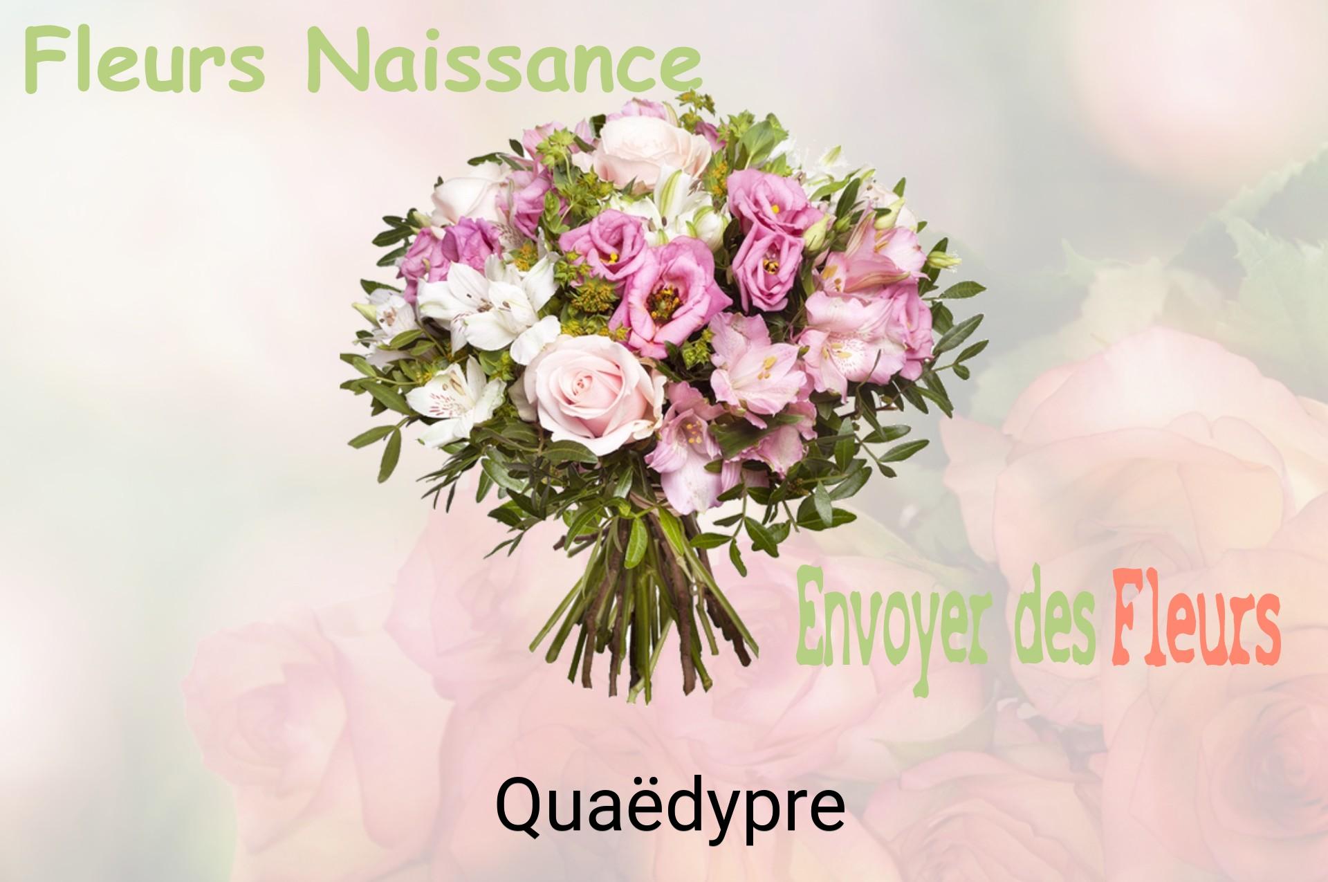 Bouquet de fleurs de naissance livré à Quaëdypre